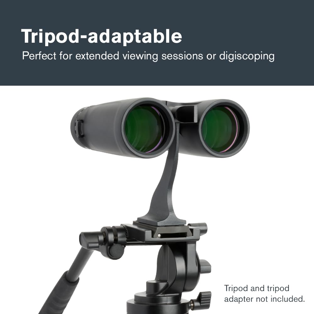 Celestron Outland X 10x50 Binoculars for Low-Light Wildlife Views