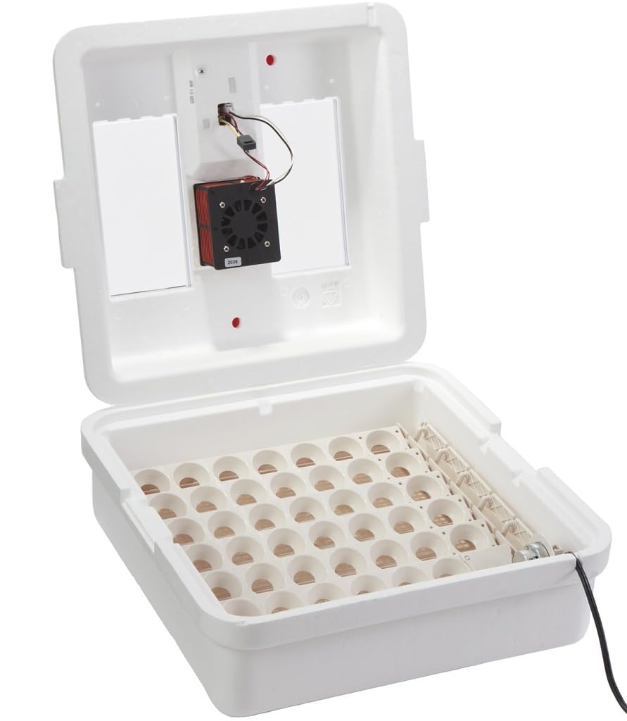Little GiantÂ® Digital Circulated Air Incubator with Automatic Turner | 41 Egg Capacity | Chick Egg Hatching Incubator with Fan and Egg Turner | Made in USA