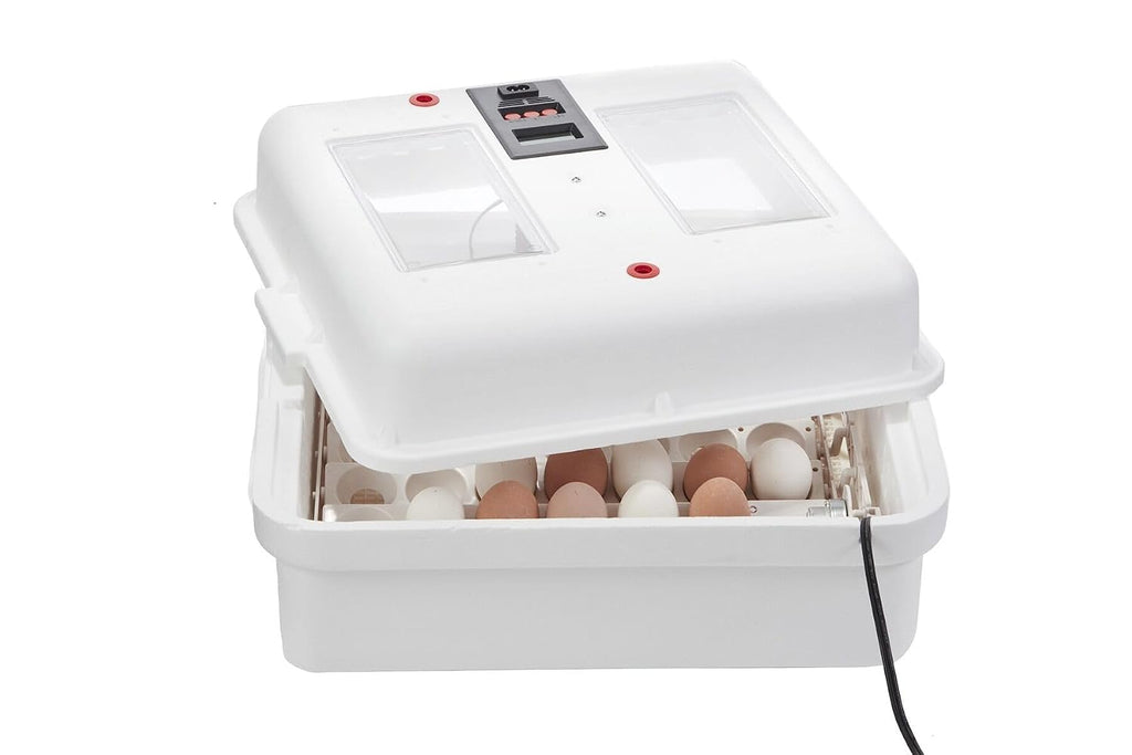 Little GiantÂ® Digital Circulated Air Incubator with Automatic Turner | 41 Egg Capacity | Chick Egg Hatching Incubator with Fan and Egg Turner | Made in USA