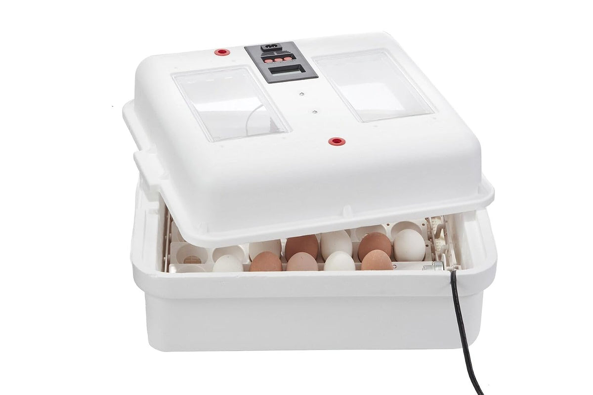 Little GiantÂ® Digital Circulated Air Incubator with Automatic Turner | 41 Egg Capacity | Chick Egg Hatching Incubator with Fan and Egg Turner | Made in USA