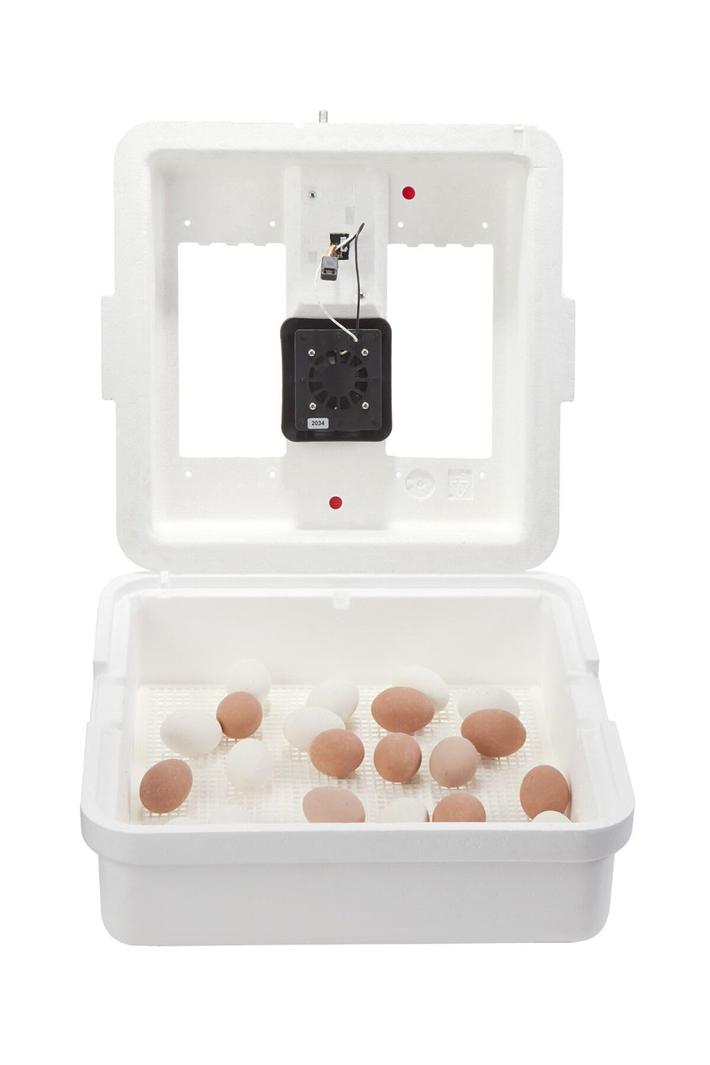 Little GiantÂ® Digital Circulated Air Incubator with Automatic Turner | 41 Egg Capacity | Chick Egg Hatching Incubator with Fan and Egg Turner | Made in USA