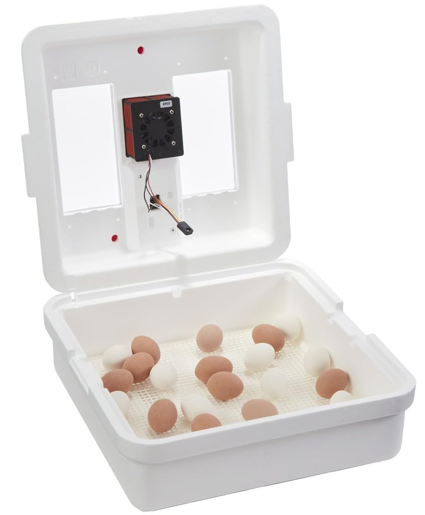 Little GiantÂ® Digital Circulated Air Incubator with Automatic Turner | 41 Egg Capacity | Chick Egg Hatching Incubator with Fan and Egg Turner | Made in USA