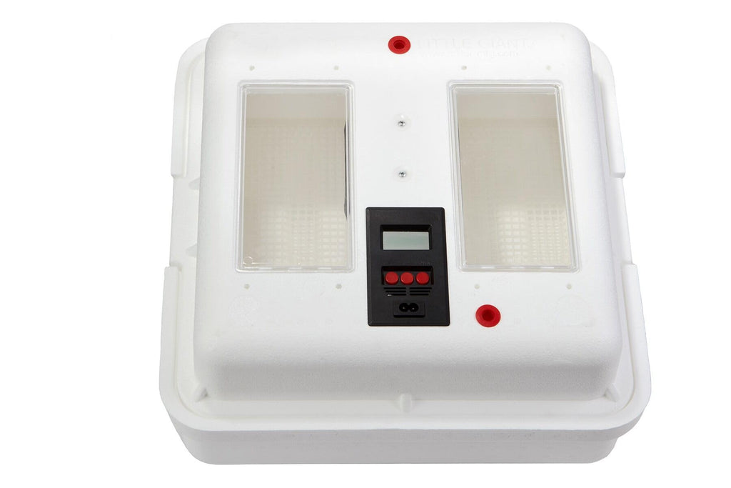 Little GiantÂ® Digital Circulated Air Incubator with Automatic Turner | 41 Egg Capacity | Chick Egg Hatching Incubator with Fan and Egg Turner | Made in USA