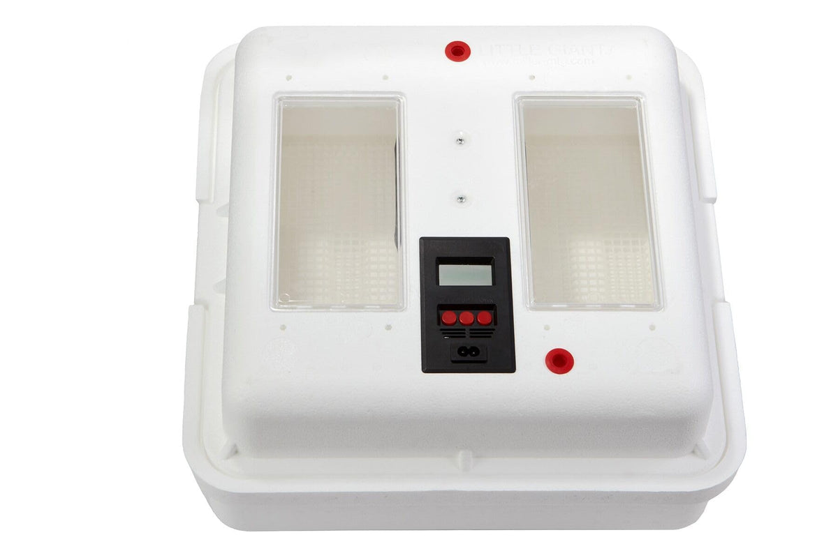 Little GiantÂ® Digital Circulated Air Incubator with Automatic Turner | 41 Egg Capacity | Chick Egg Hatching Incubator with Fan and Egg Turner | Made in USA