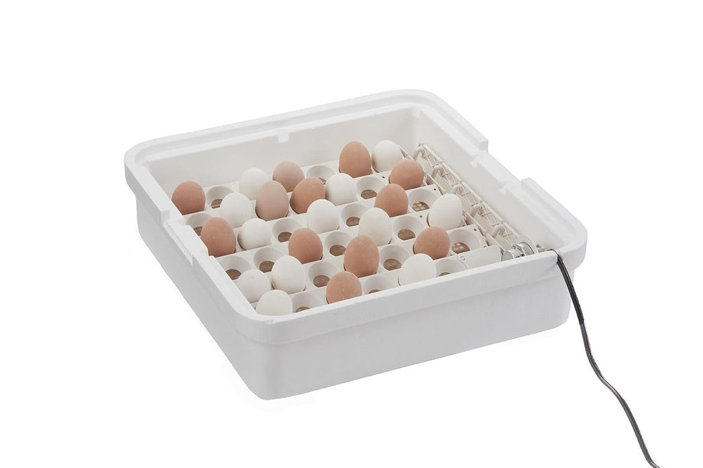Little GiantÂ® Digital Circulated Air Incubator with Automatic Turner | 41 Egg Capacity | Chick Egg Hatching Incubator with Fan and Egg Turner | Made in USA