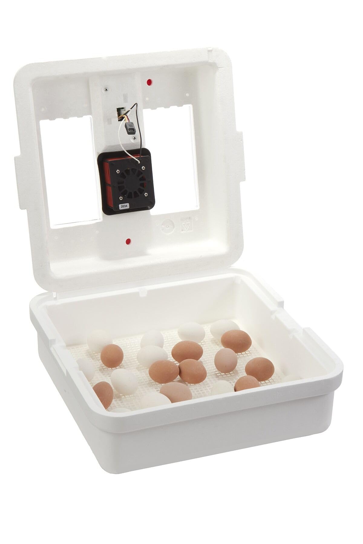 Little GiantÂ® Digital Circulated Air Incubator with Automatic Turner | 41 Egg Capacity | Chick Egg Hatching Incubator with Fan and Egg Turner | Made in USA