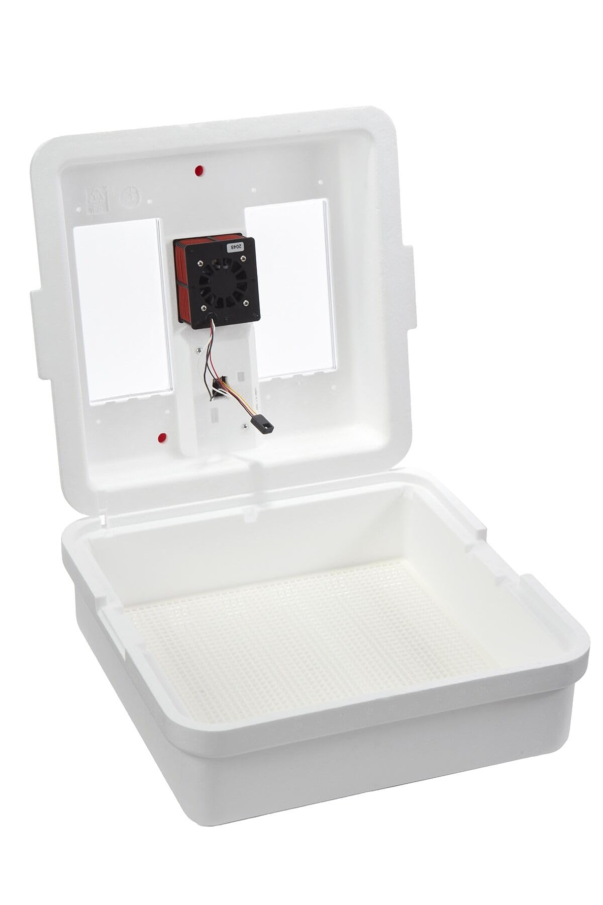 Little GiantÂ® Digital Circulated Air Incubator with Automatic Turner | 41 Egg Capacity | Chick Egg Hatching Incubator with Fan and Egg Turner | Made in USA