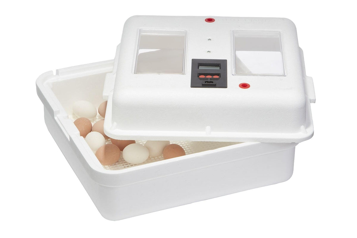 Little GiantÂ® Digital Circulated Air Incubator with Automatic Turner | 41 Egg Capacity | Chick Egg Hatching Incubator with Fan and Egg Turner | Made in USA