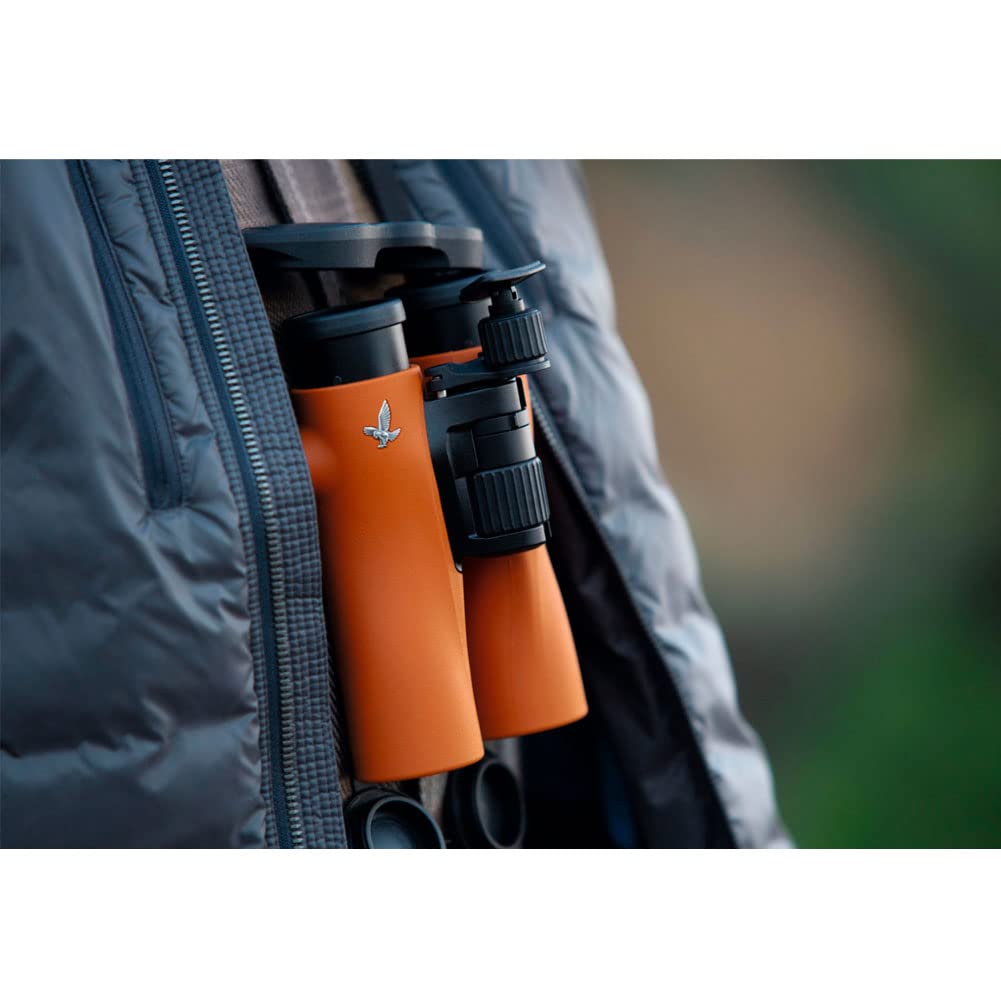 Swarovski NL Pure 10x42 Binoculars, Burnt Orange, Waterproof, Fog-Proof,