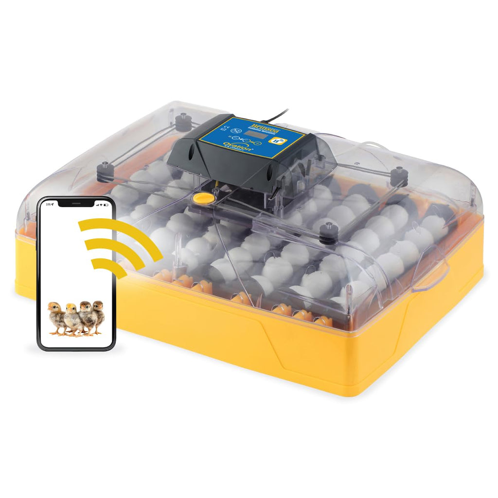 Brinsea Ovation 56 EX Egg Incubator, Automatic Turning & Humidity Control