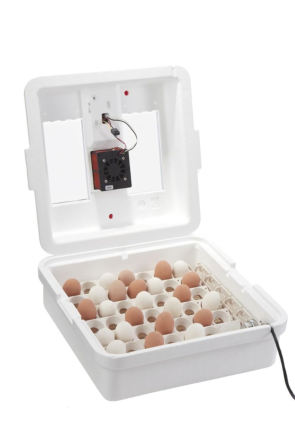 Little GiantÂ® Digital Circulated Air Incubator with Automatic Turner | 41 Egg Capacity | Chick Egg Hatching Incubator with Fan and Egg Turner | Made in USA