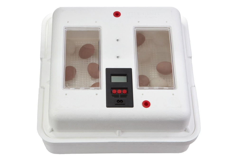 Little GiantÂ® Digital Circulated Air Incubator with Automatic Turner | 41 Egg Capacity | Chick Egg Hatching Incubator with Fan and Egg Turner | Made in USA