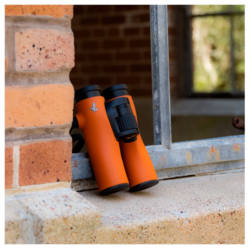 Swarovski NL Pure 10x42 Binoculars, Burnt Orange, Waterproof, Fog-Proof,