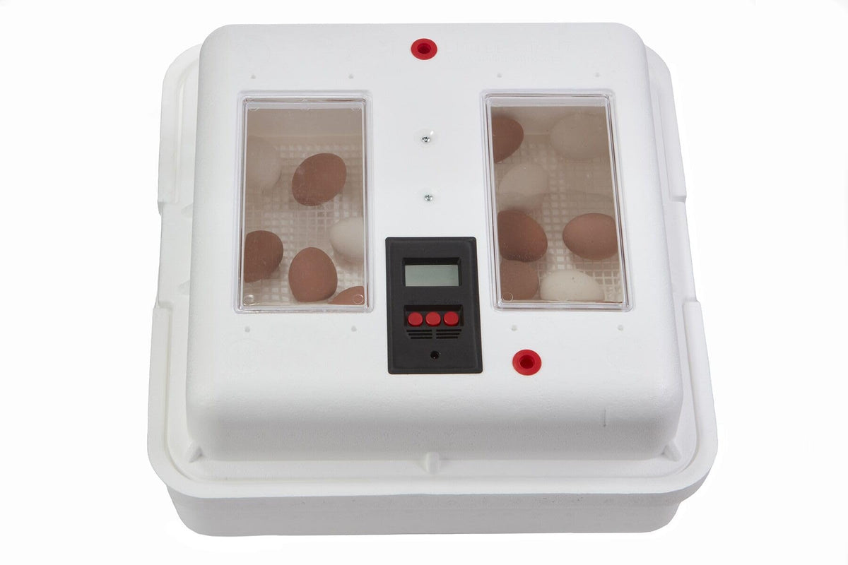 Little GiantÂ® Digital Circulated Air Incubator with Automatic Turner | 41 Egg Capacity | Chick Egg Hatching Incubator with Fan and Egg Turner | Made in USA