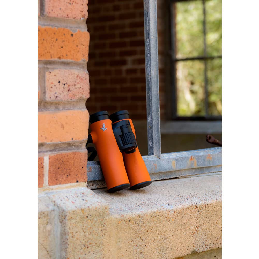 Swarovski NL Pure 10x42 Binoculars, Burnt Orange, Waterproof, Fog-Proof,
