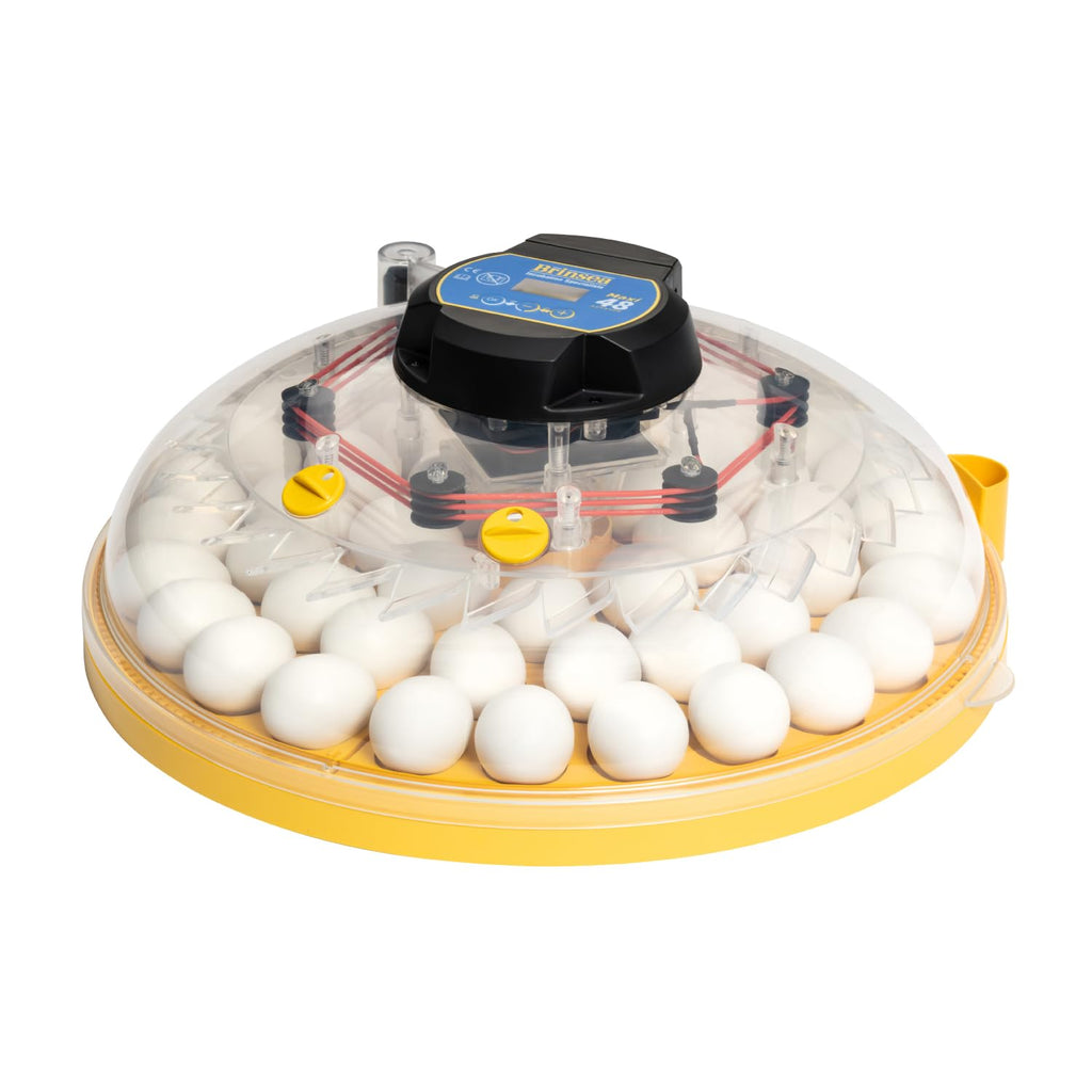Brinsea Mini II Advance Incubator with Automatic Turner for Hatching 7 Eggs