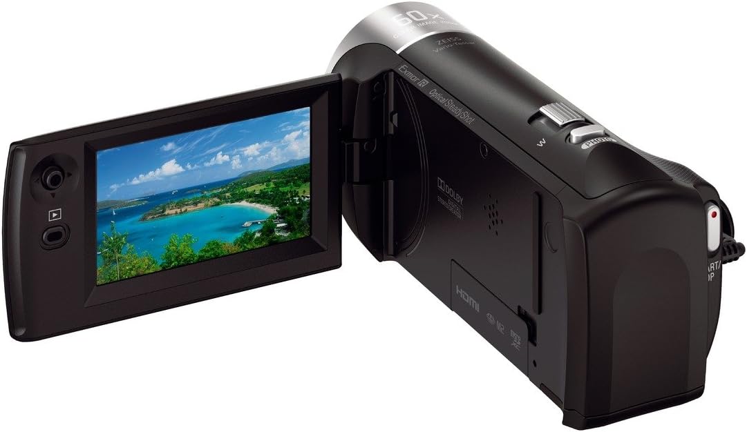 Sony - HDRCX405 HD Video Recording Handycam Camcorder (black)