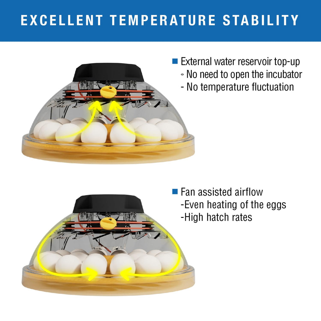 Brinsea Mini II Advance Incubator with Automatic Turner for Hatching 7 Eggs