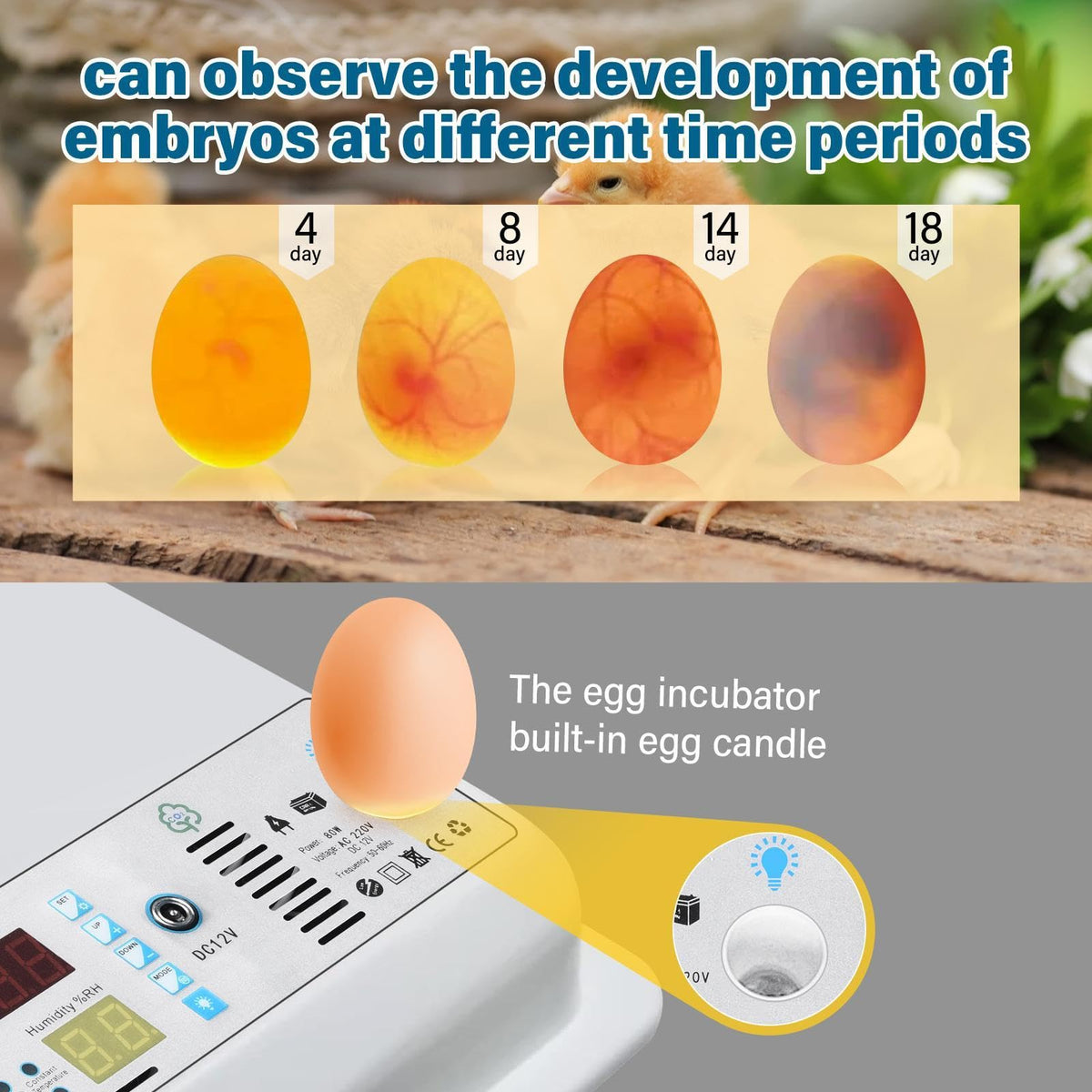 New 216 Egg incubators for Hatching Eggs with Automatic Turning