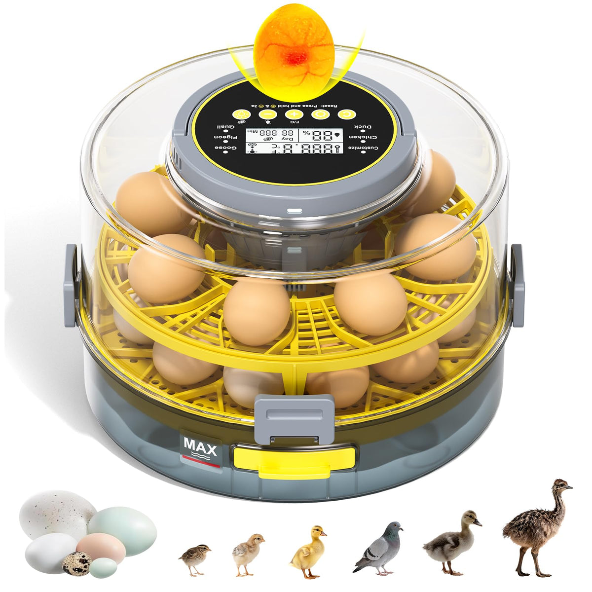 IBKINXX Incubator for Hatching Eggs-48 Egg Capacity, 2026 Newly Upraded Auto Egg Turner & Auto Precision Humidity Control System, 360Â° Clear Viewing for Chicken, Duck and Quail Eggs (Yellow)