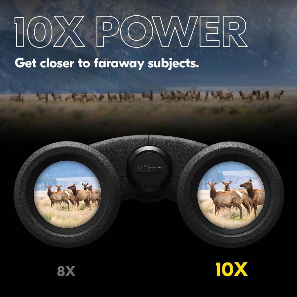 Nikon PROSTAFF P3 10x42 Binocular | Waterproof, fogproof, rubber-armored Full-Size Binocular, wide field of view & long eye relief | Official Nikon USA Model