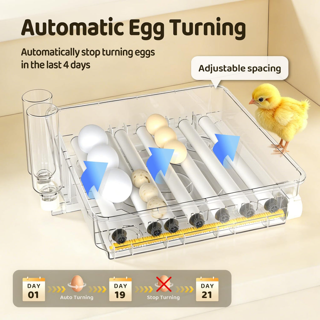 108 Egg Incubator for Hatching Eggs, Fully Automatic Egg Incubator with Auto Temp/Water/Turning, for Chicken Duck Goose Quail Pigeon Turtle Eggs, Humidity Control by Bottles, 361Â° View Clear Window