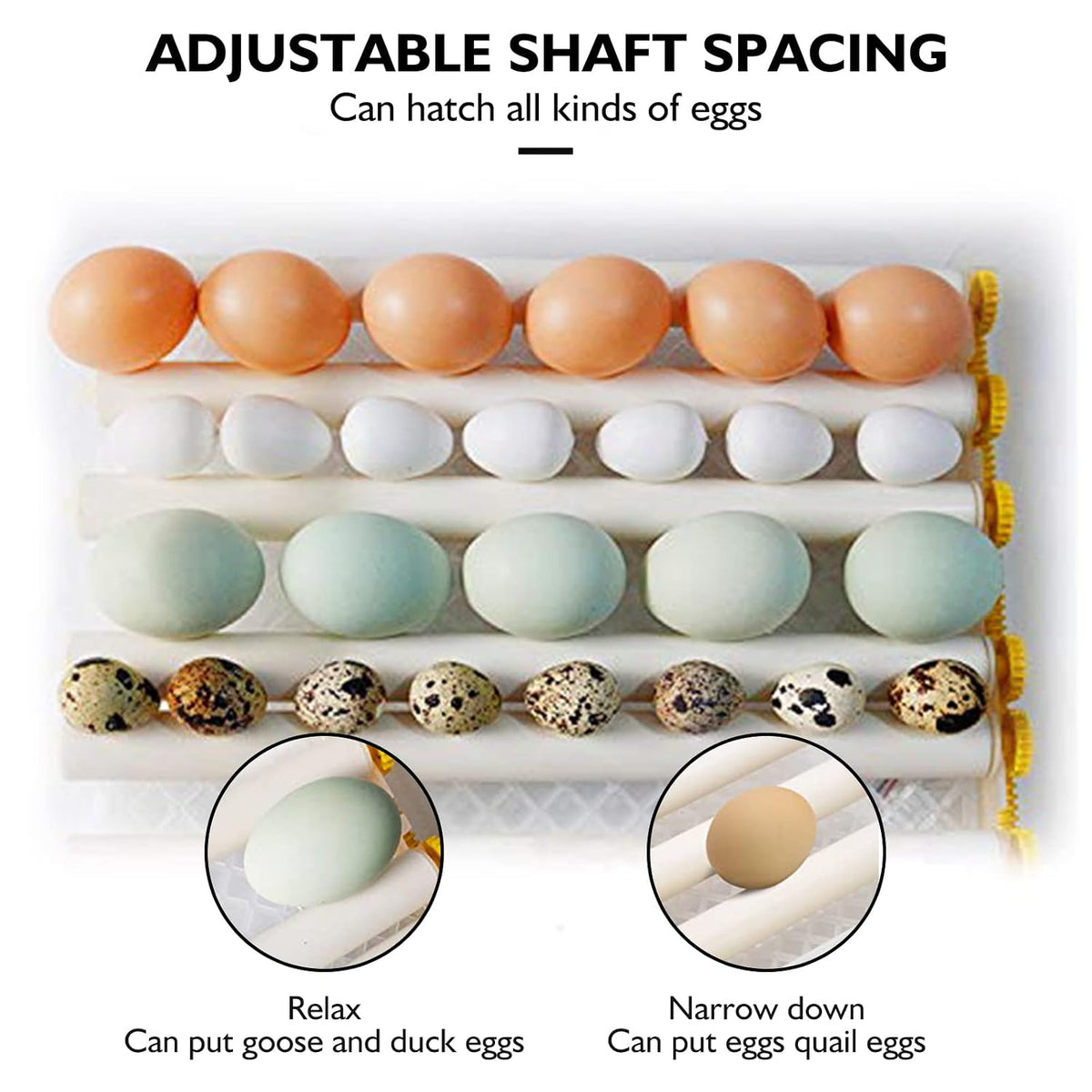 Egg Incubator - Egg Incubator with Automatic Egg Turning and Humidity Control,Large Poultry Hatcher for Chickens Birds Ducks (182 Eggs) (182 Eggs)