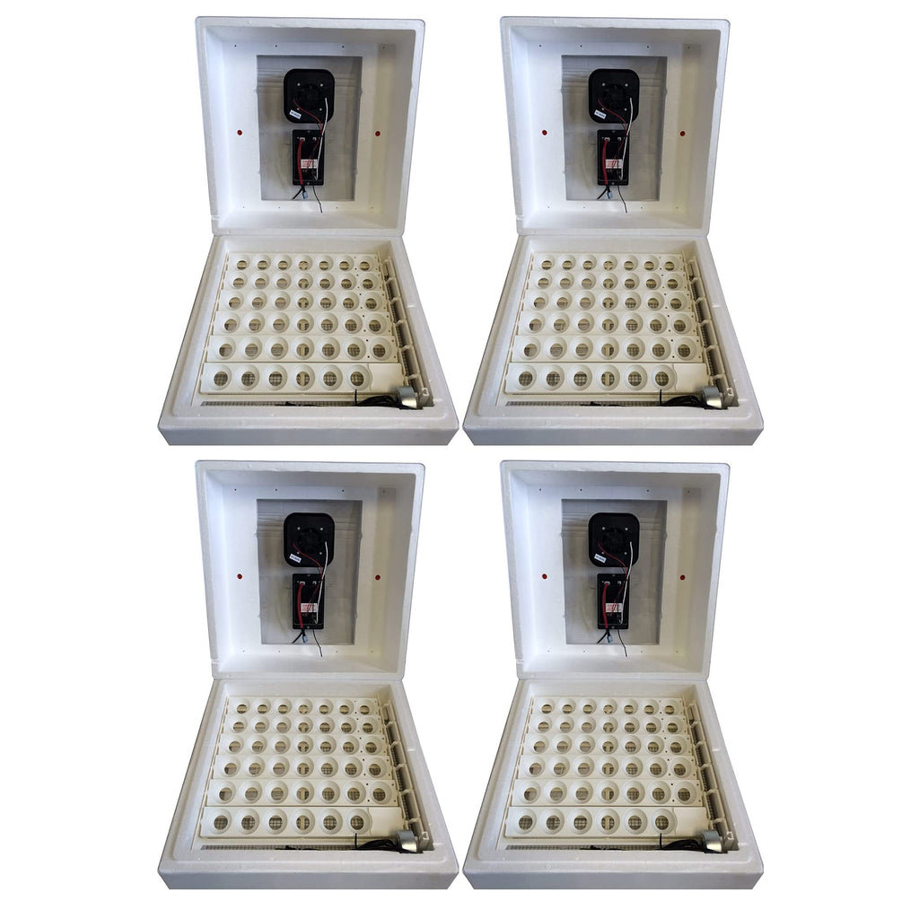 Farm Innovators 2450 Digital Circulated Air Incubator with Egg Turner