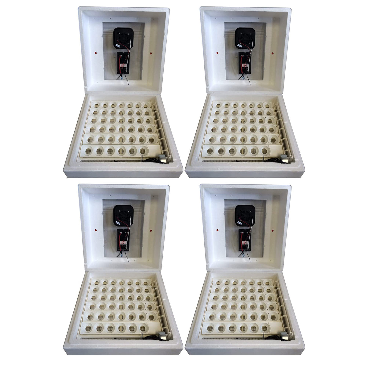 Farm Innovators 2450 Digital Circulated Air Incubator with Egg Turner