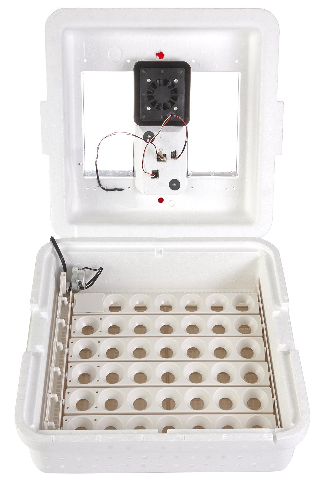 Little GiantÂ® Digital Circulated Air Incubator with Automatic Turner | 41 Egg Capacity | Chick Egg Hatching Incubator with Fan and Egg Turner | Made in USA