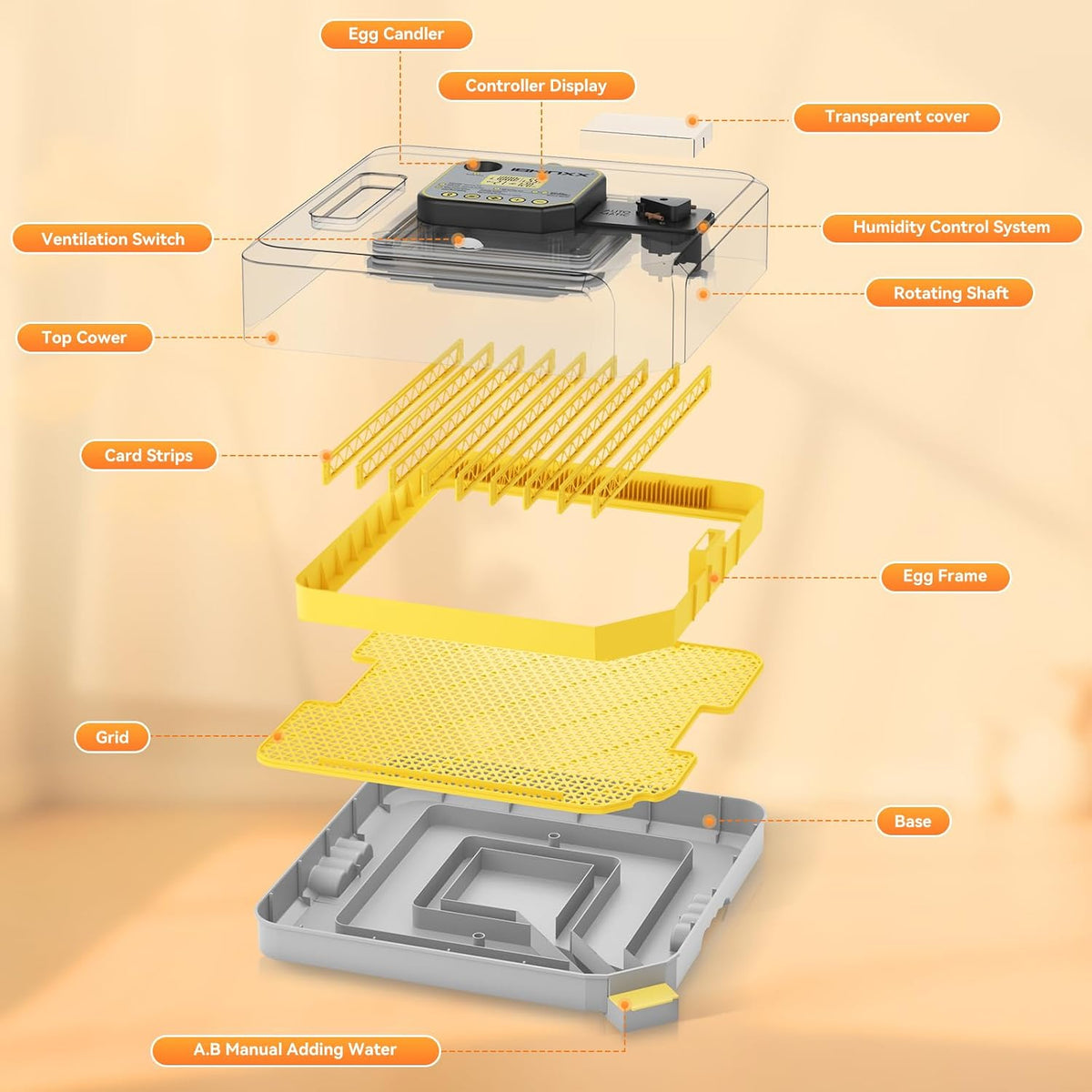 IBKINXX Incubator for Hatching Eggs-48 Egg Capacity, 2026 Newly Upraded Auto Egg Turner & Auto Precision Humidity Control System, 360Â° Clear Viewing for Chicken, Duck and Quail Eggs (Yellow)