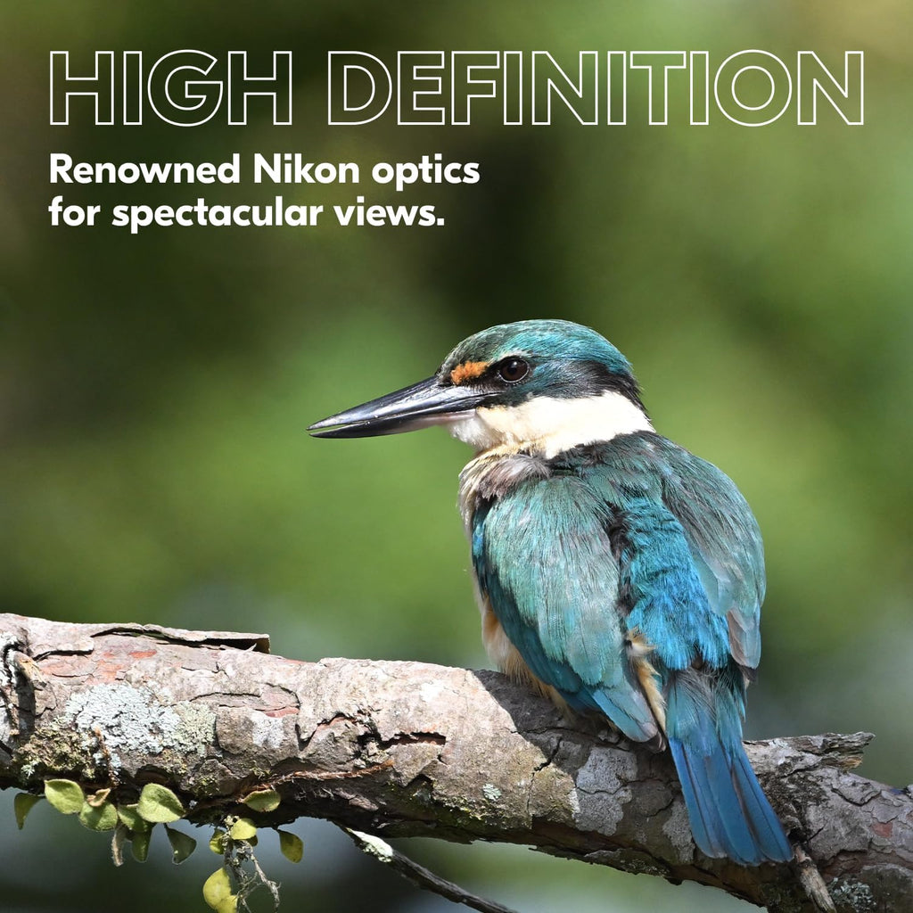 Nikon PROSTAFF P3 10x42 Binocular | Waterproof, fogproof, rubber-armored Full-Size Binocular, wide field of view & long eye relief | Official Nikon USA Model