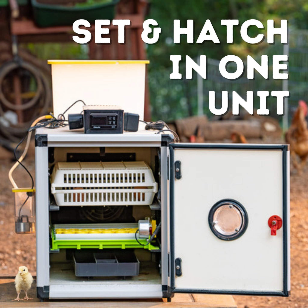 Hatching Time Incubators for Hatching Eggs, CT180SH Egg Setter & Hatcher