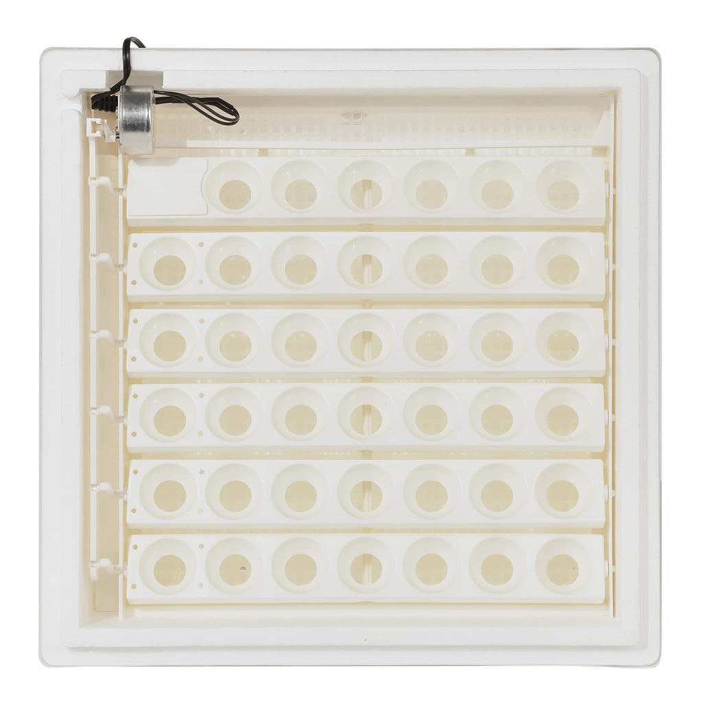 Farm Innovators 41 Egg Digital Circulated Air Incubator, Auto Turner, White