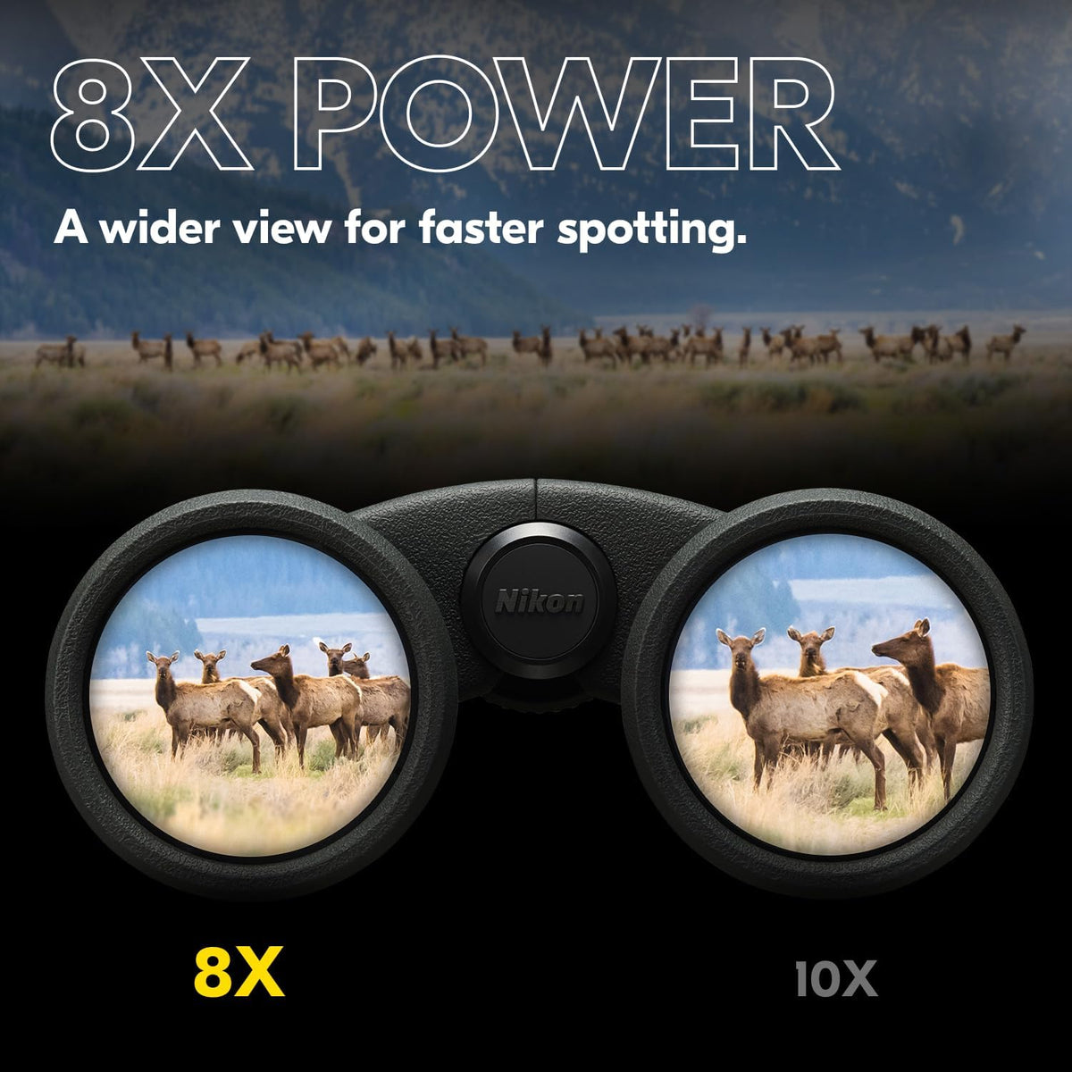 Nikon PROSTAFF P3 10x42 Binocular | Waterproof, fogproof, rubber-armored Full-Size Binocular, wide field of view & long eye relief | Official Nikon USA Model