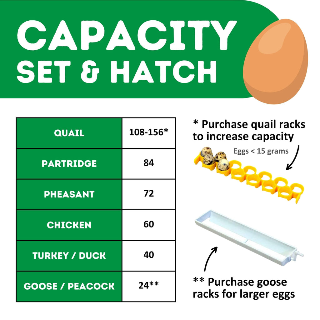 Hatching Time Incubators for Hatching Eggs, CT180SH Egg Setter & Hatcher