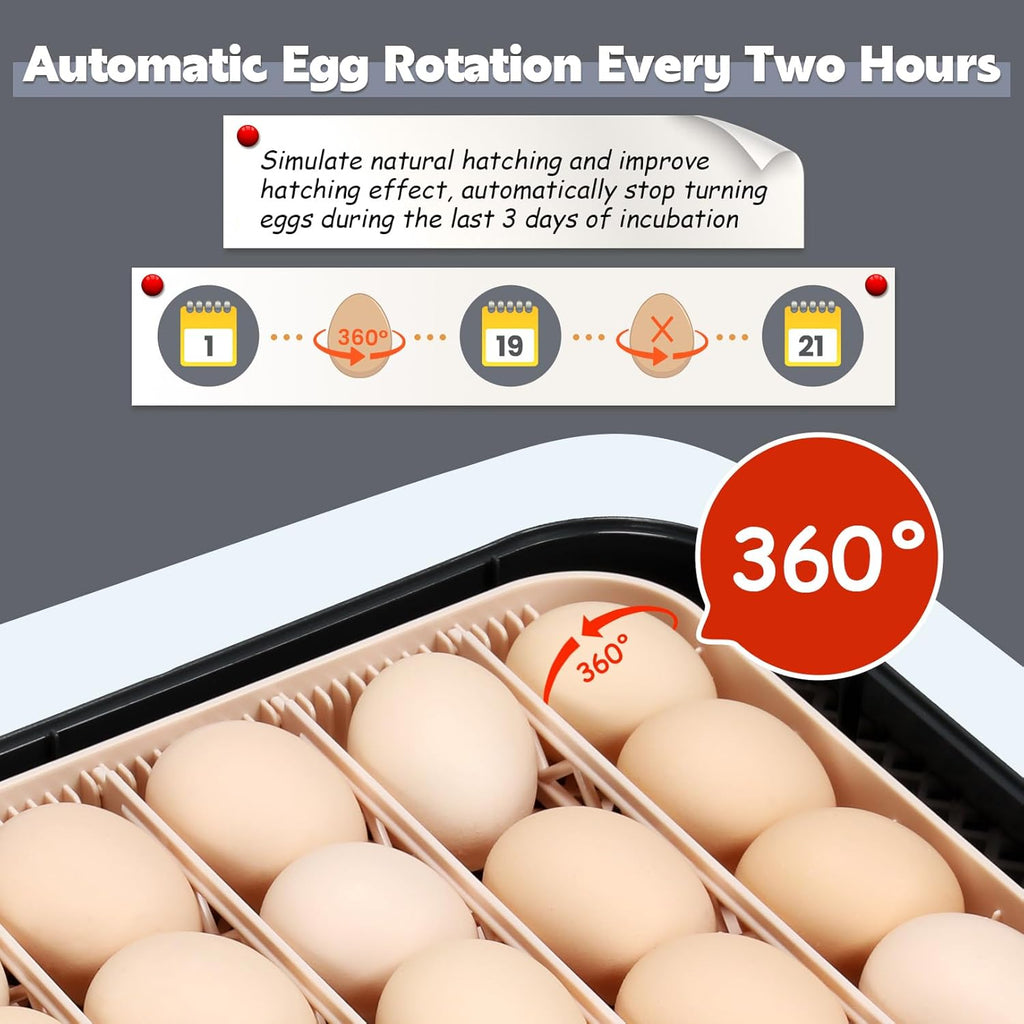 Sailnovo 56 Egg Incubator for Hatching Eggs with Automatic Egg Turning Gray