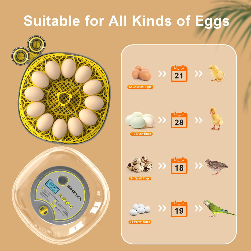 IBKINXX Incubator for Hatching Eggs-48 Egg Capacity, 2026 Newly Upraded Auto Egg Turner & Auto Precision Humidity Control System, 360Â° Clear Viewing for Chicken, Duck and Quail Eggs (Yellow)