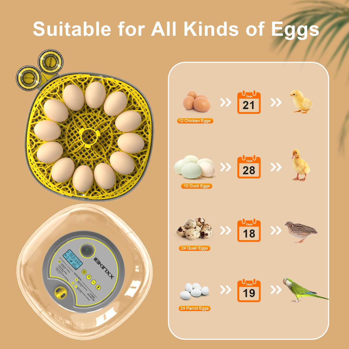 IBKINXX Incubator for Hatching Eggs-48 Egg Capacity, 2026 Newly Upraded Auto Egg Turner & Auto Precision Humidity Control System, 360Â° Clear Viewing for Chicken, Duck and Quail Eggs (Yellow)