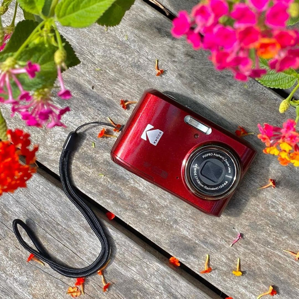 KODAK PIXPRO FZ45 16MP Compact Digital Camera, 4X Optical Zoom, AA, Black