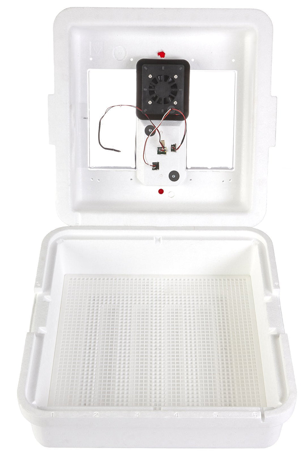 Little GiantÂ® Digital Circulated Air Incubator with Automatic Turner | 41 Egg Capacity | Chick Egg Hatching Incubator with Fan and Egg Turner | Made in USA