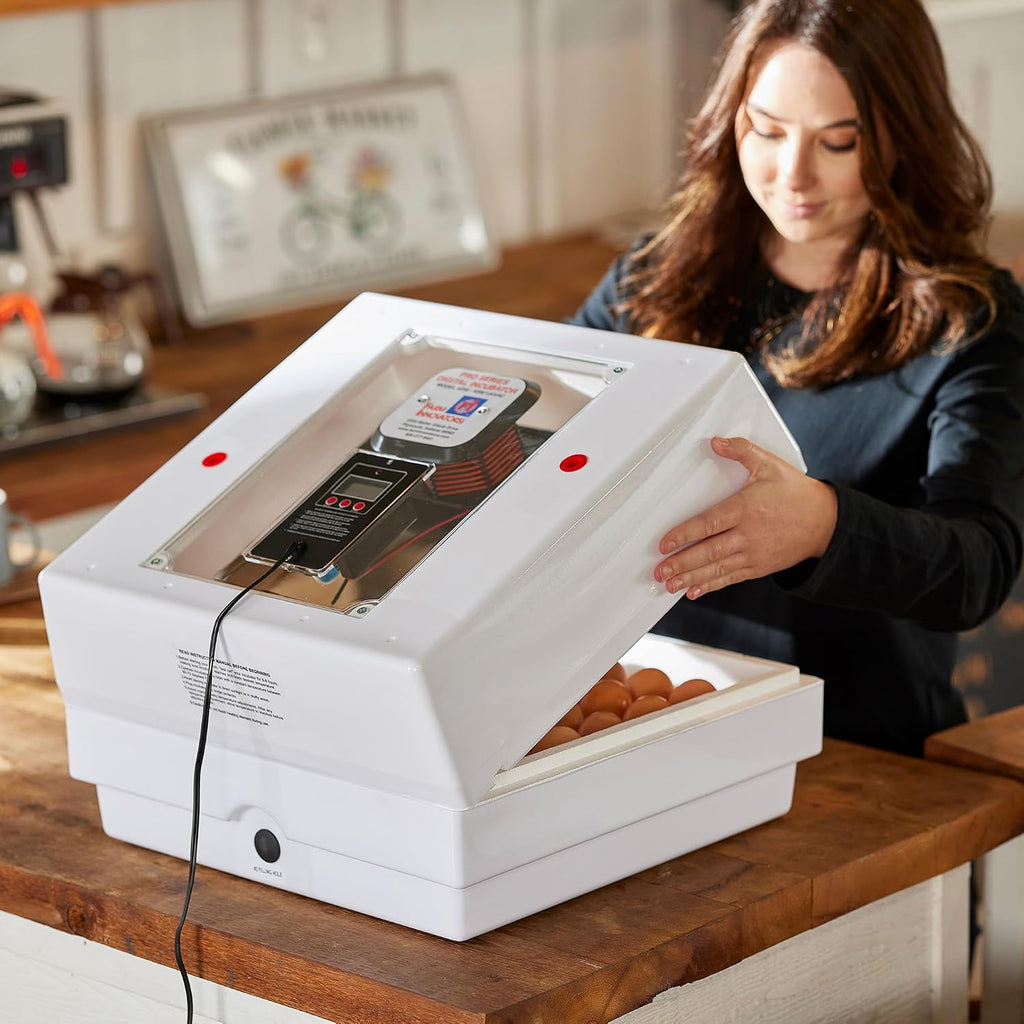 Farm Innovators 2450 Digital Circulated Air Incubator with Egg Turner