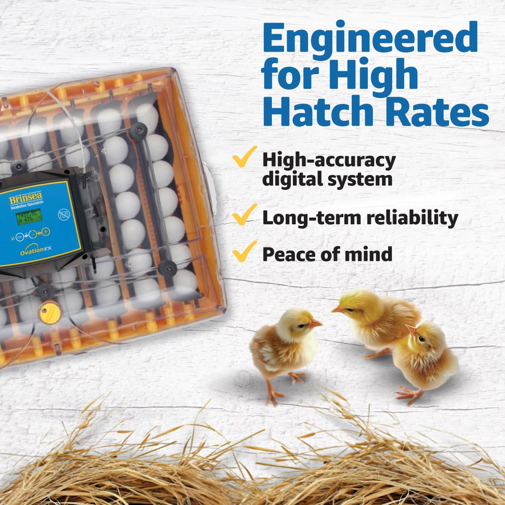 Brinsea Ovation 56 EX Egg Incubator, Automatic Turning & Humidity Control