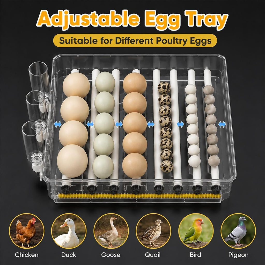 216 Egg Incubator for Hatching Eggs with Auto Turner, Temp Control, Candler