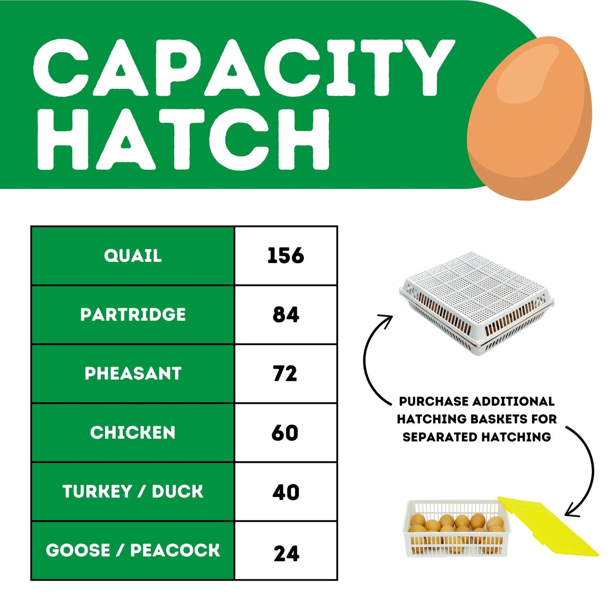 Hatching Time Incubators for Hatching Eggs, CT180SH Egg Setter & Hatcher