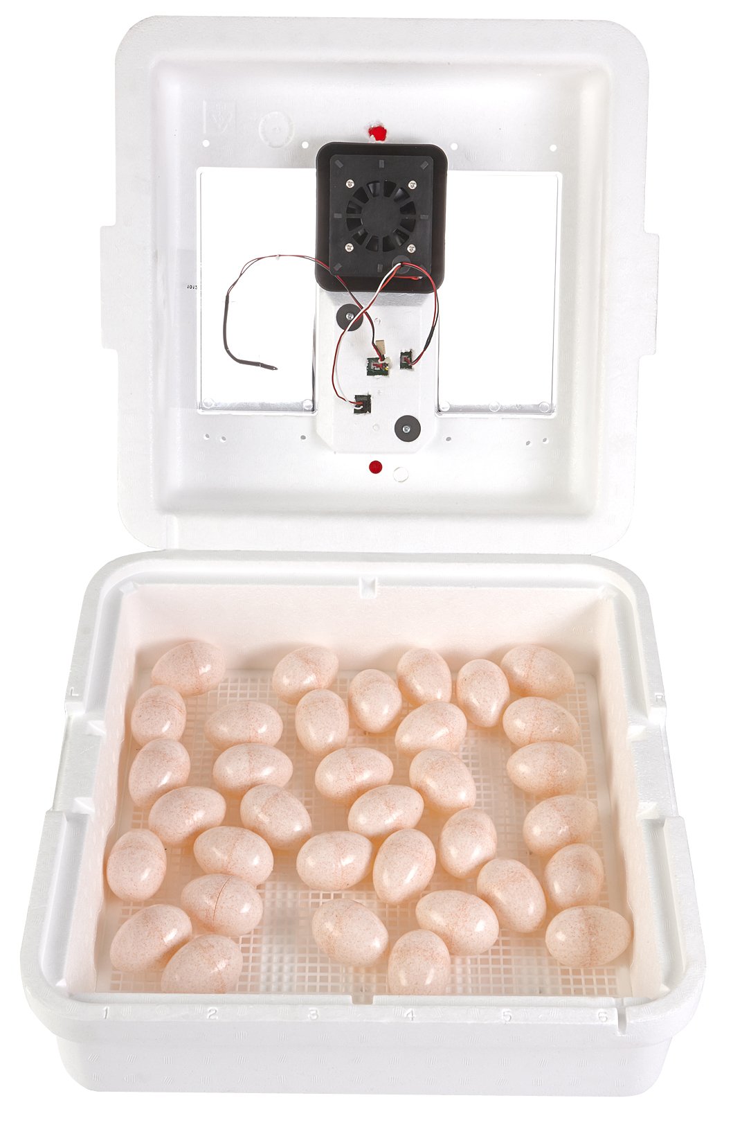 Little GiantÂ® Digital Circulated Air Incubator with Automatic Turner | 41 Egg Capacity | Chick Egg Hatching Incubator with Fan and Egg Turner | Made in USA