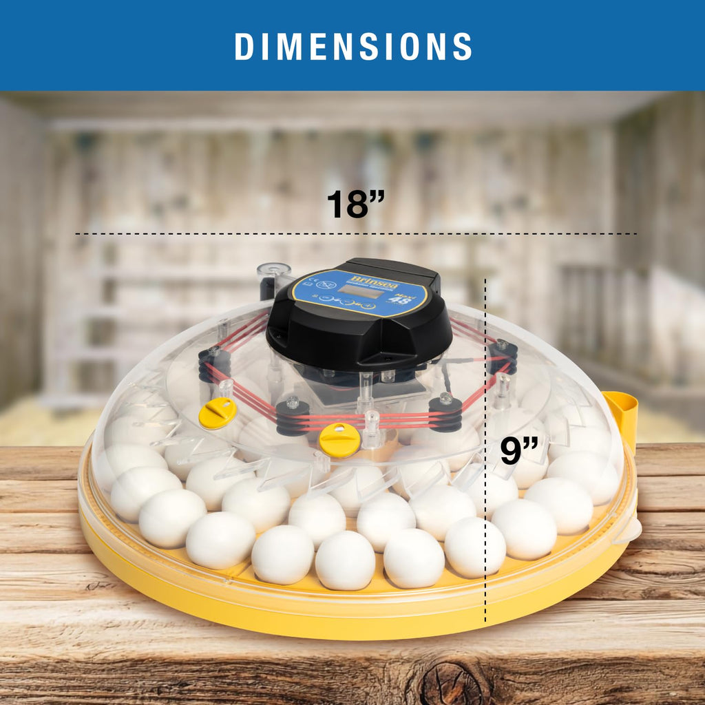 Brinsea Mini II Advance Incubator with Automatic Turner for Hatching 7 Eggs