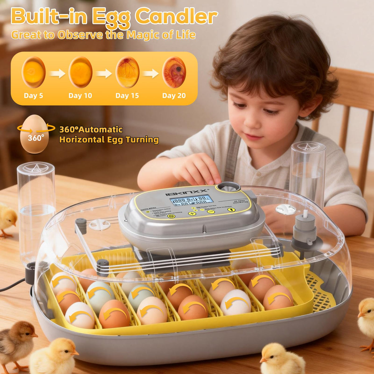 IBKINXX Incubator for Hatching Eggs-48 Egg Capacity, 2026 Newly Upraded Auto Egg Turner & Auto Precision Humidity Control System, 360Â° Clear Viewing for Chicken, Duck and Quail Eggs (Yellow)