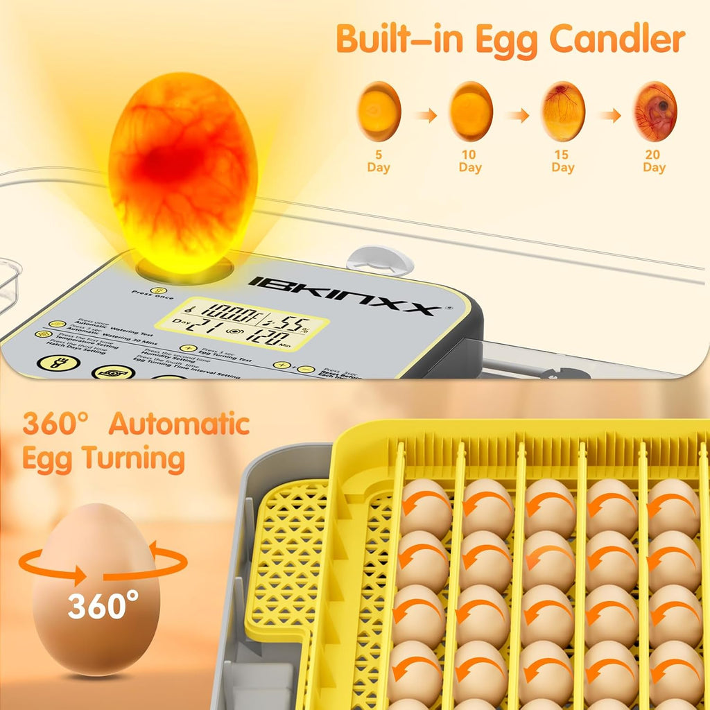 IBKINXX Incubator for Hatching Eggs-48 Egg Capacity, 2026 Newly Upraded Auto Egg Turner & Auto Precision Humidity Control System, 360Â° Clear Viewing for Chicken, Duck and Quail Eggs (Yellow)