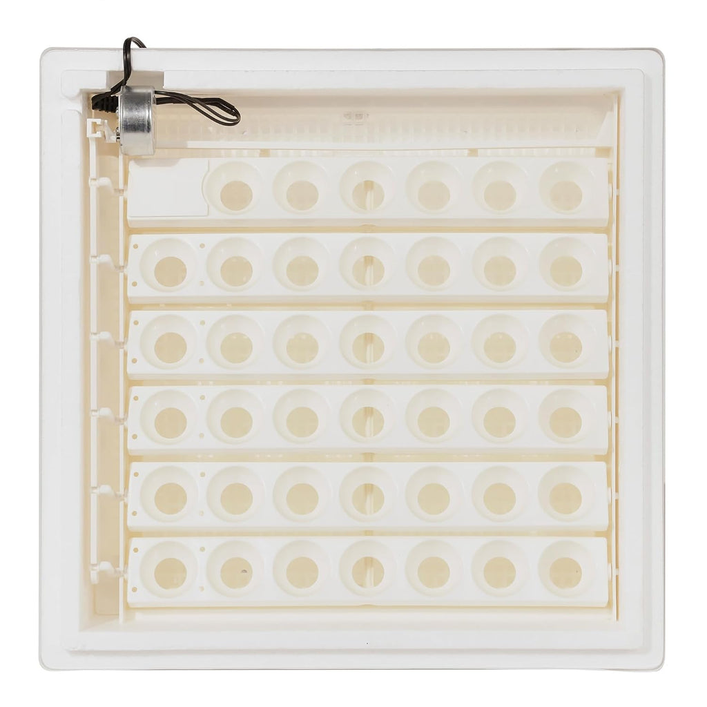 Farm Innovators 41 Egg Digital Circulated Air Incubator, Auto Turner, White